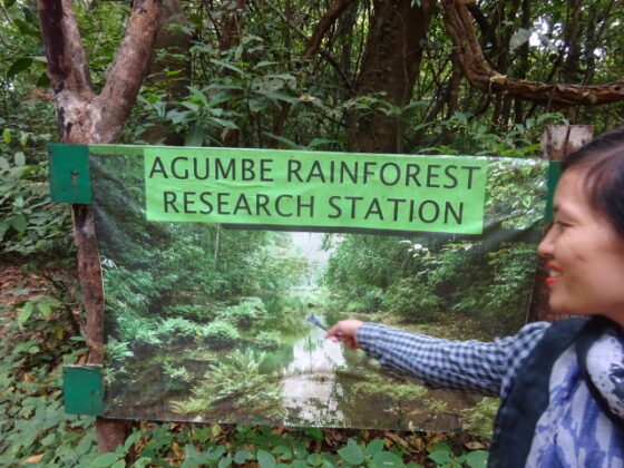 ARRS (Agumbe Rainforest Research Station)