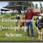 Dairy Entrepreneurship Development Scheme Dairy Entrepreneurship Development Scheme