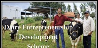 Dairy Entrepreneurship Development Scheme Dairy Entrepreneurship Development Scheme