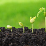 Organic Farming Organic Farming