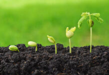 Organic Farming Organic Farming