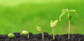 Organic Farming Organic Farming