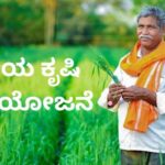 Rashtriya Krishi Vikasa Yojane Farmer