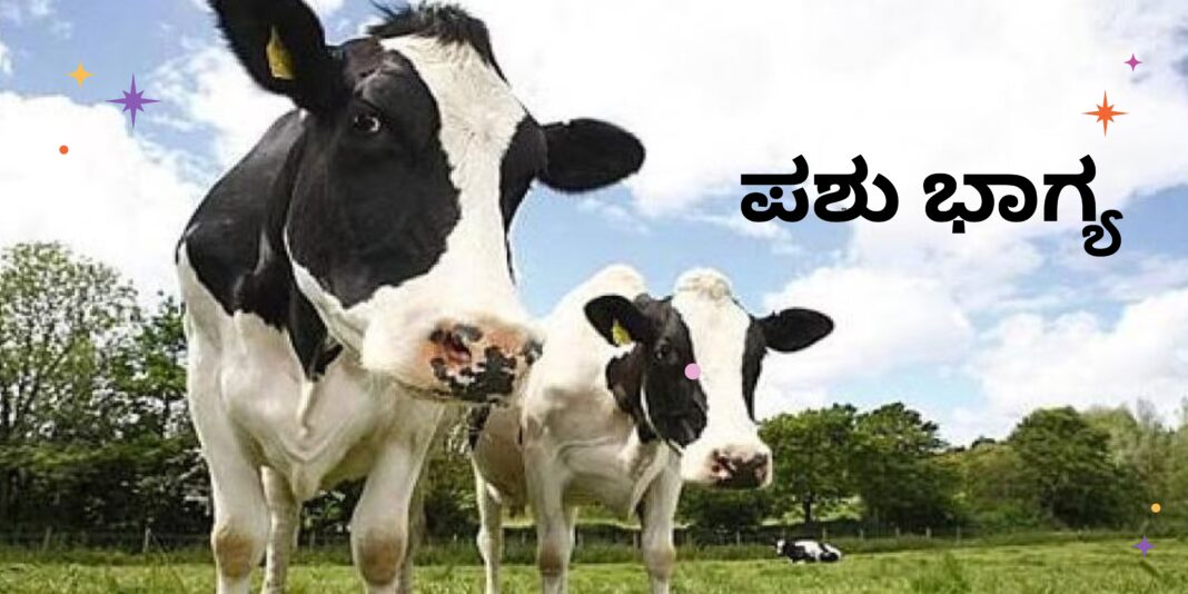 Pashu Bhagya Pashu Bhagya