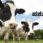 Pashu Bhagya Pashu Bhagya