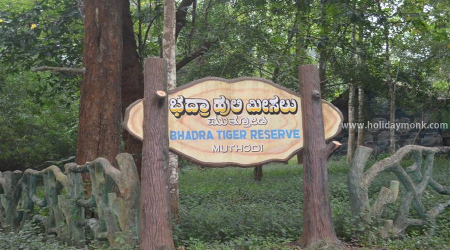 Bhadra Wildlife Sanctuary