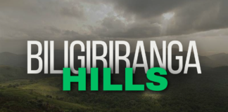Biligiriranga Hills (BR Hills): A Breathtaking Tapestry of Nature and Wildlife Biligiriranga Hills