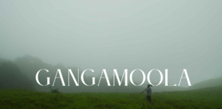 Gangamoola: Nature’s Enclave in the Heart of the Western Ghats Gangamoola