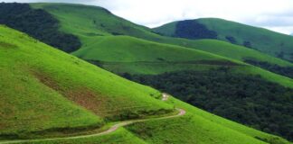 Kemmanagundi: A Tranquil Retreat in the Western Ghats Kemmanagundi