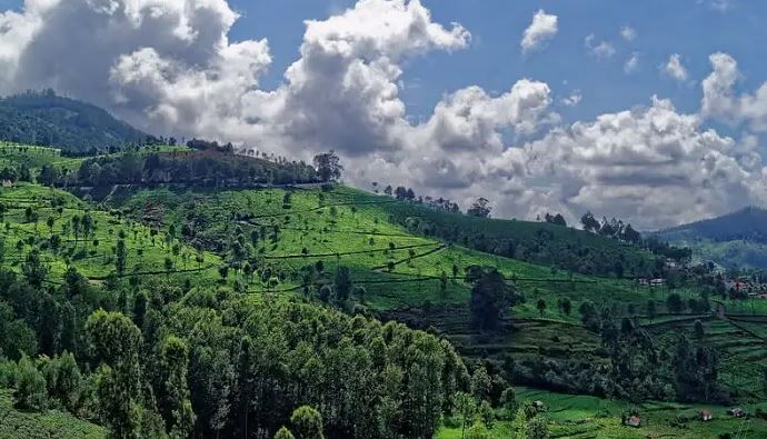 Kotagiri