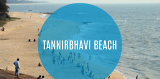 Tannirbhavi Beach: Unveiling the Coastal Charm of Mangalore Tannirbhavi Beach