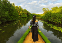 Nature’s Bounty: A Guide to the Best Attractions in Honnavar Areca Farm Walk