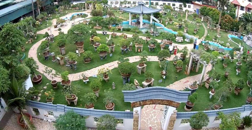 Bonsai Garden