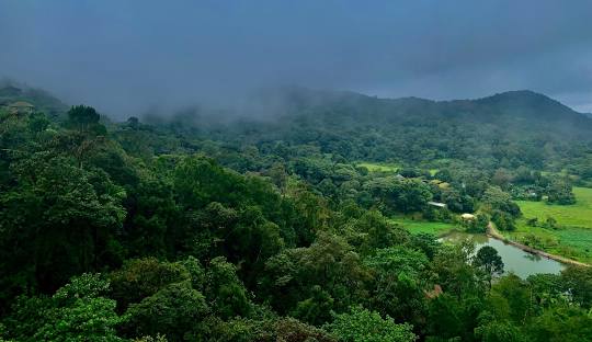 Coorg