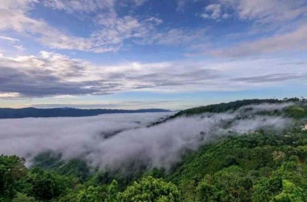 Hills of Jampui