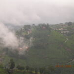 Discovering God’s Own Country: Kerala’s Top 10 Tourist Hotspots Munnar