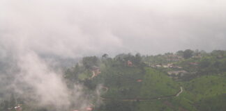 Discovering God’s Own Country: Kerala’s Top 10 Tourist Hotspots Munnar