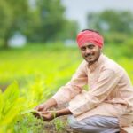 Rashtriya Krishi Vikas Yojana Rashtriya Krishi Vikas Yojana