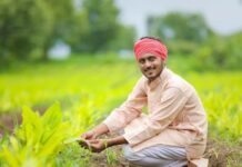 Rashtriya Krishi Vikas Yojana Rashtriya Krishi Vikas Yojana