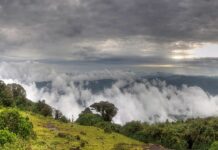 Exploring the Charms of Sakleshpur Sakleshpur
