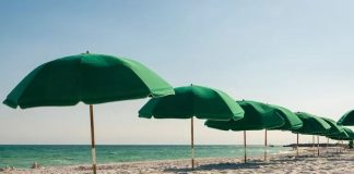 Embrace the Unique Charms of Florida’s Four Seasons Destination Florida