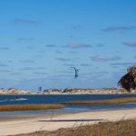Discover Authentic Jacksonville: 15 Local Gems Await Your Exploration Jacksonville