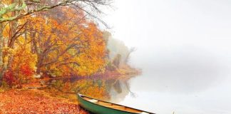 Unlocking the Charm: 10 Popular U.S. Destinations That Shine in Shoulder Season Cape Cod, Massachusetts