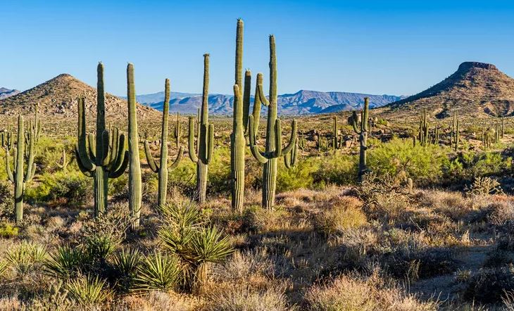 Scottsdale, Arizona