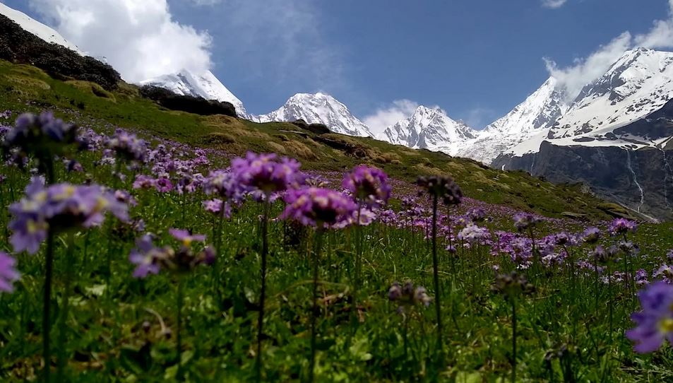 Darma Valley