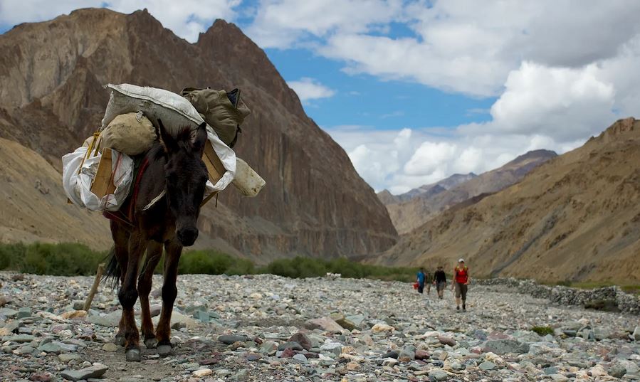 Markha Valley