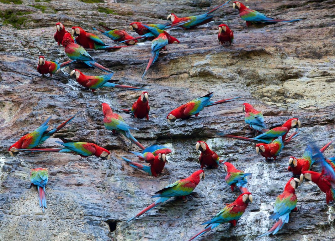 peru
