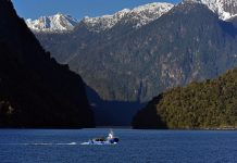 Top Countries Frequent Travelers Can’t Wait to Visit Again (According to New Data) New Zealand