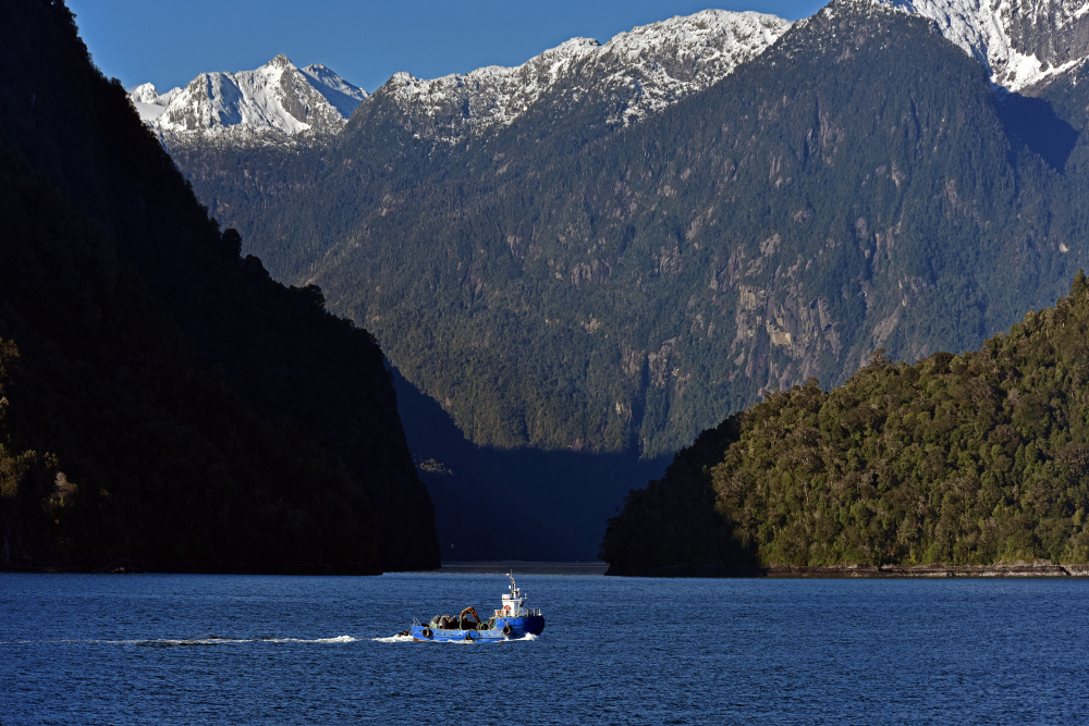 Top Countries Frequent Travelers Can’t Wait to Visit Again (According to New Data) New Zealand